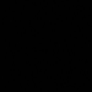 Meet your Posher, Eli